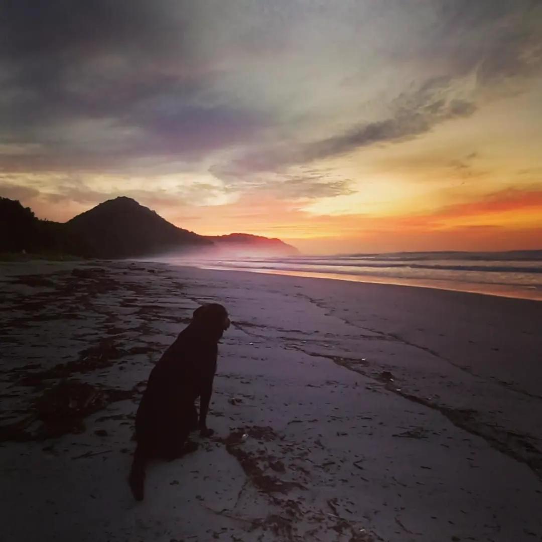 Praia De Itamambuca- Casa Charmosa E Iluminada Убатуба Экстерьер фото